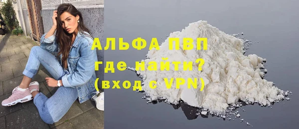 СК Волоколамск