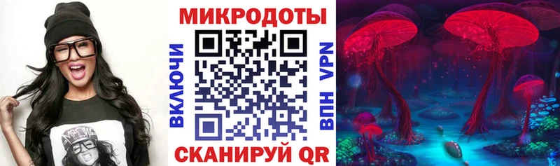 Псилоцибиновые грибы мицелий  что такое наркотик  OMG ссылка  Завитинск 